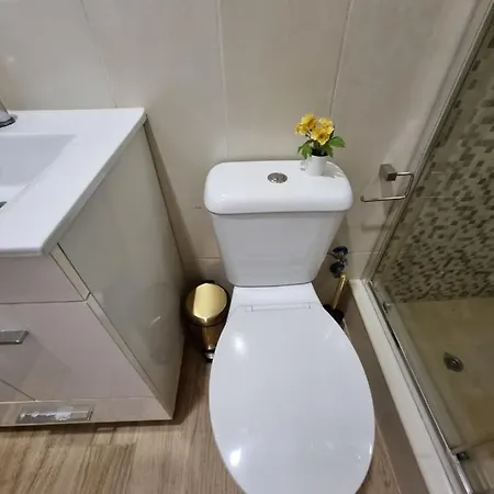 Near Parque Eduardo Vii Appartement *